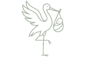 Cigogne